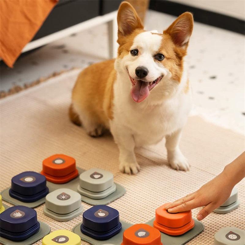 Groom Glory4-Color Dog Talking Button – Recordable Communication Toy for Pets
