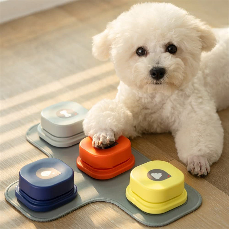Groom Glory4-Color Dog Talking Button – Recordable Communication Toy for Pets