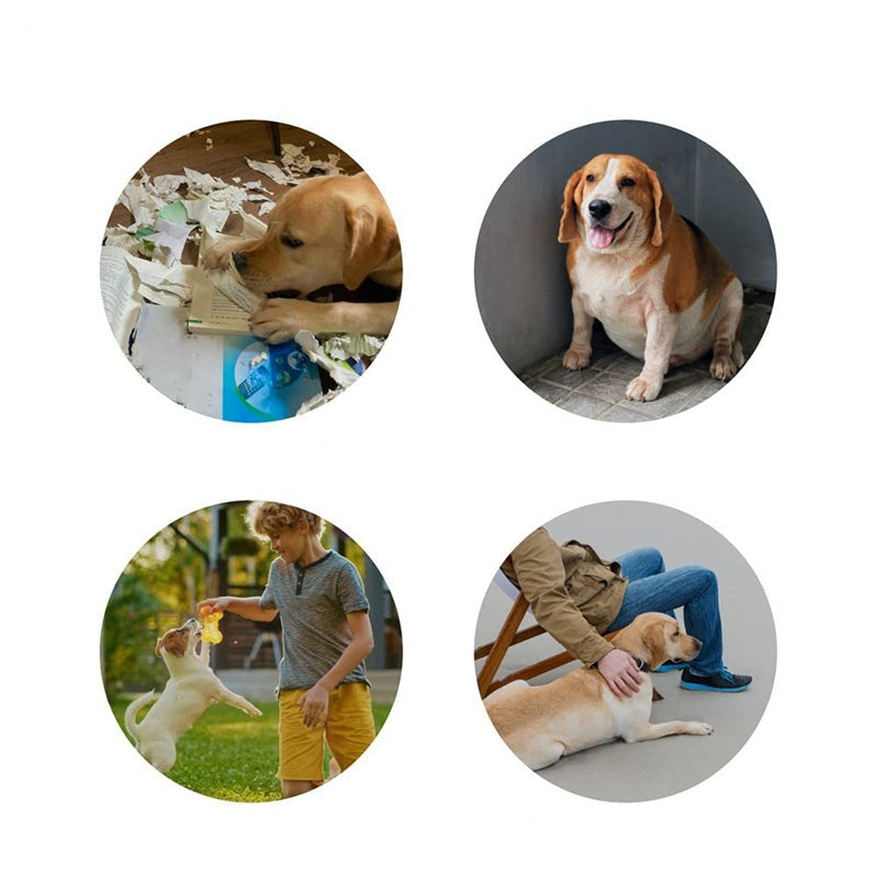 Groom Glory4-Color Dog Talking Button – Recordable Communication Toy for Pets
