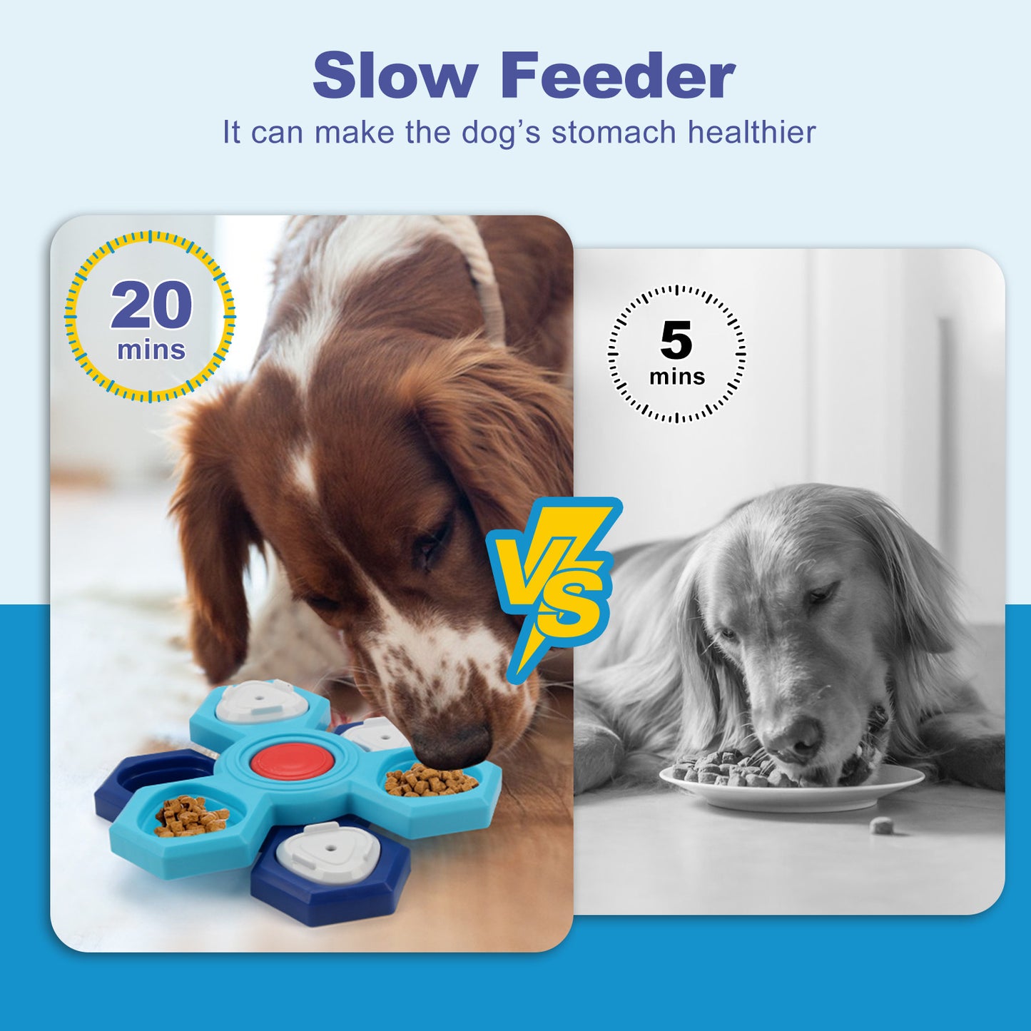 Groom Glory 4-Layer Slow Feeder Puzzle Bowl for Dogs – Interactive Anti-Bloat Design