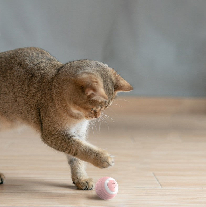 Groom Glory Automatic Bouncing Cat Toy Ball – Self-Moving Smart Toy for Indoor Cats