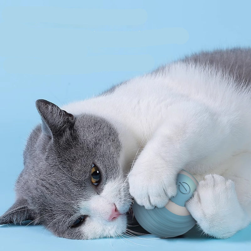 Groom Glory Automatic Bouncing Cat Toy Ball – Self-Moving Smart Toy for Indoor Cats