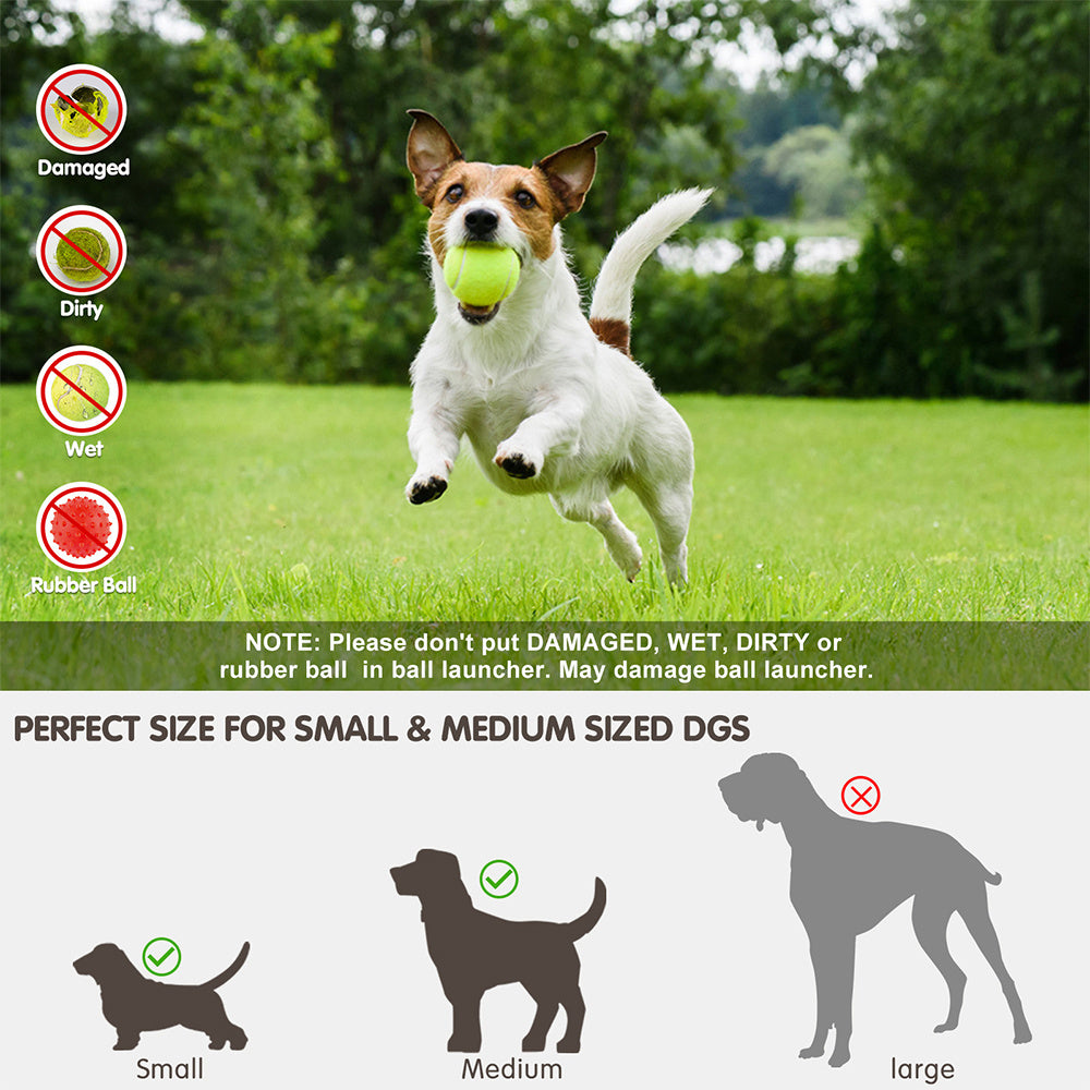 Groom Glory Automatic Dog Ball Launcher – Interactive Tennis Ball Thrower