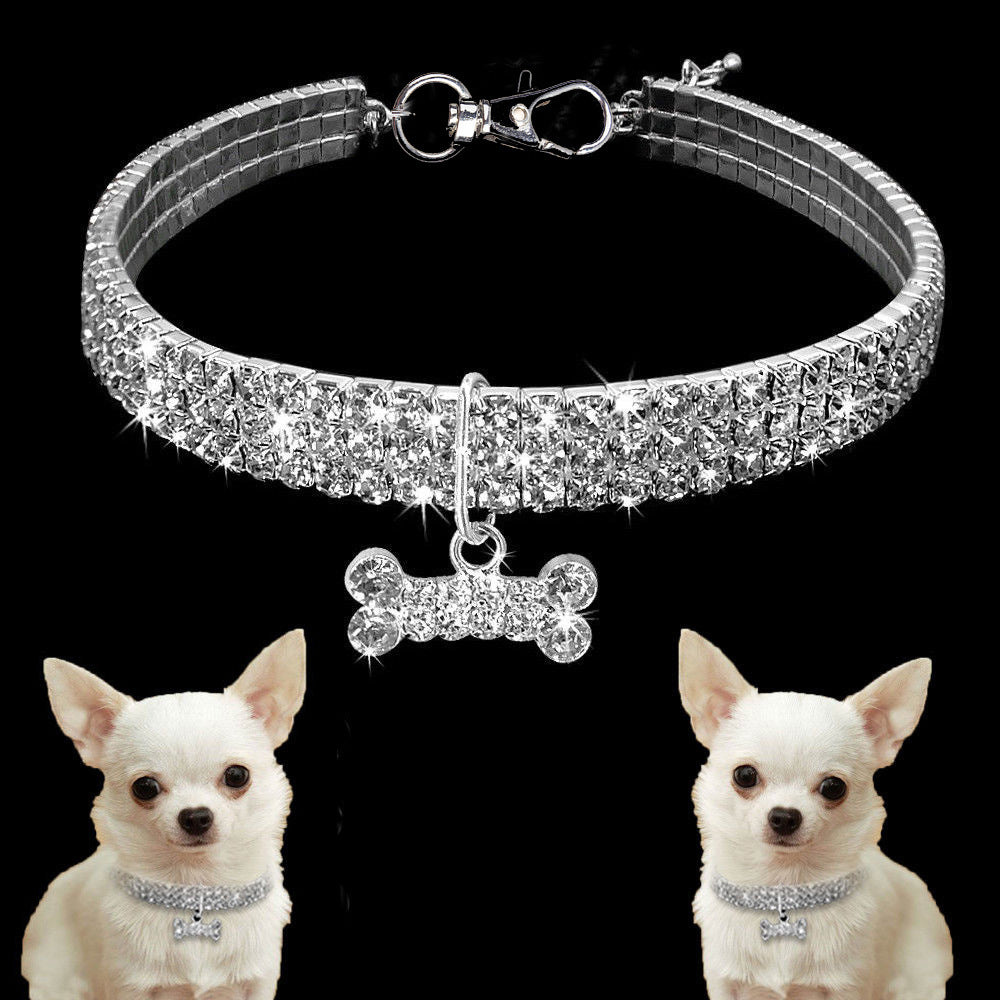 Groom Glory Bling Rhinestone Dog Collar – Crystal Puppy Collar