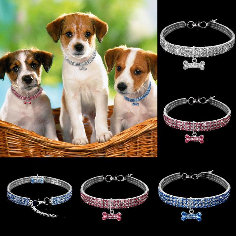 Groom Glory Bling Rhinestone Dog Collar – Crystal Puppy Collar