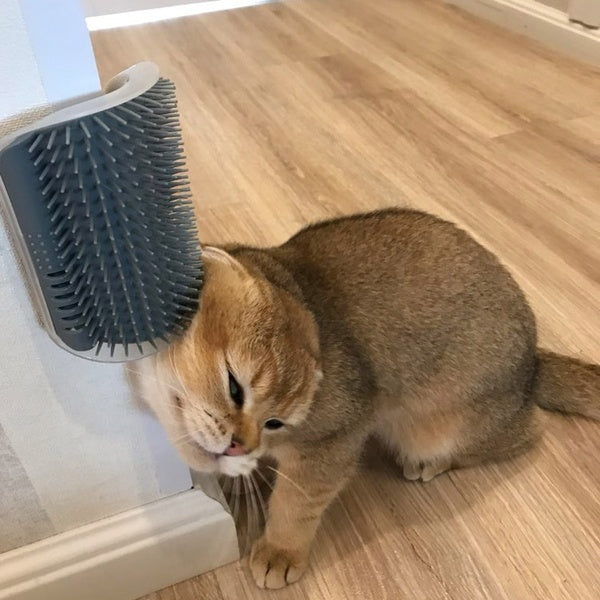 Groom Glory Cat Self-Grooming Wall Brush