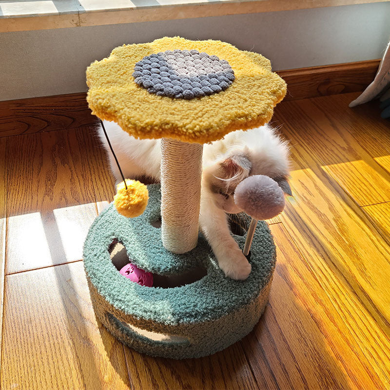 Groom Glory Colorful Cat Scratch Board Toy