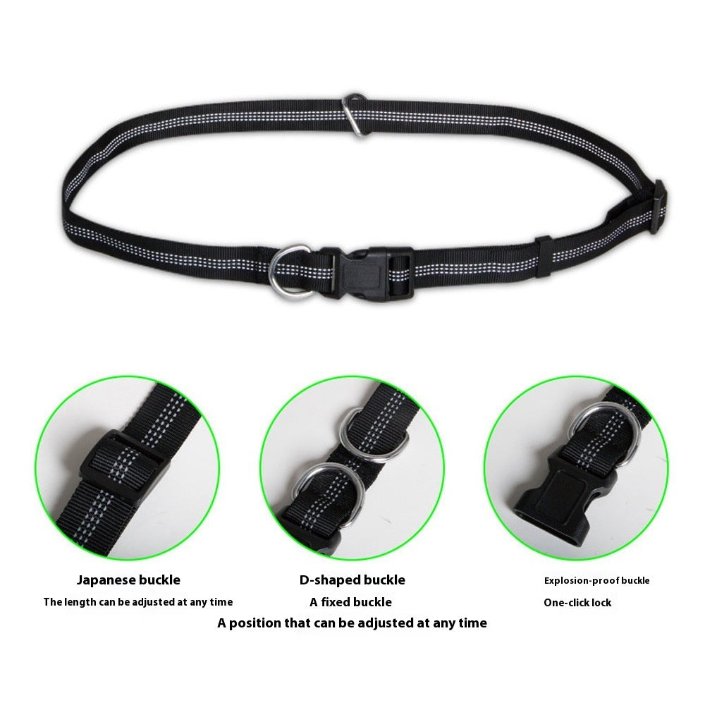 Groom Glory Hands-Free Dog Leash