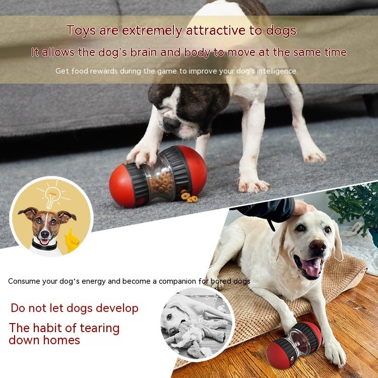 Groom Glory Interactive Dog Puzzle Toy – Food Dispensing Tumbler Ball