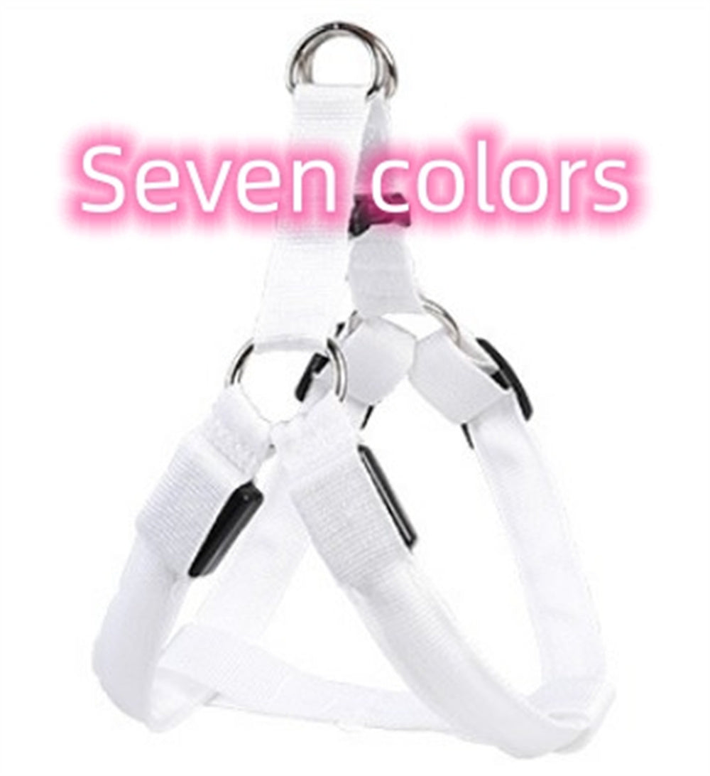 Groom Glory LED Light-Up Dog Harness