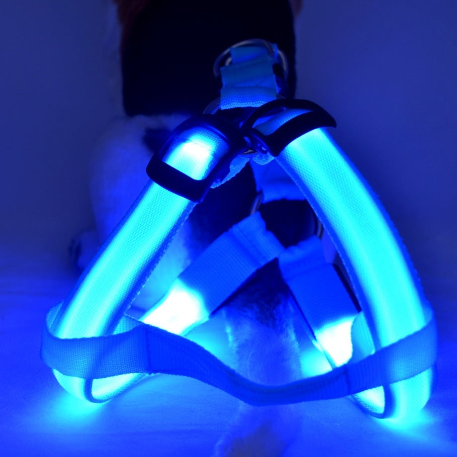 Groom Glory LED Light-Up Dog Harness