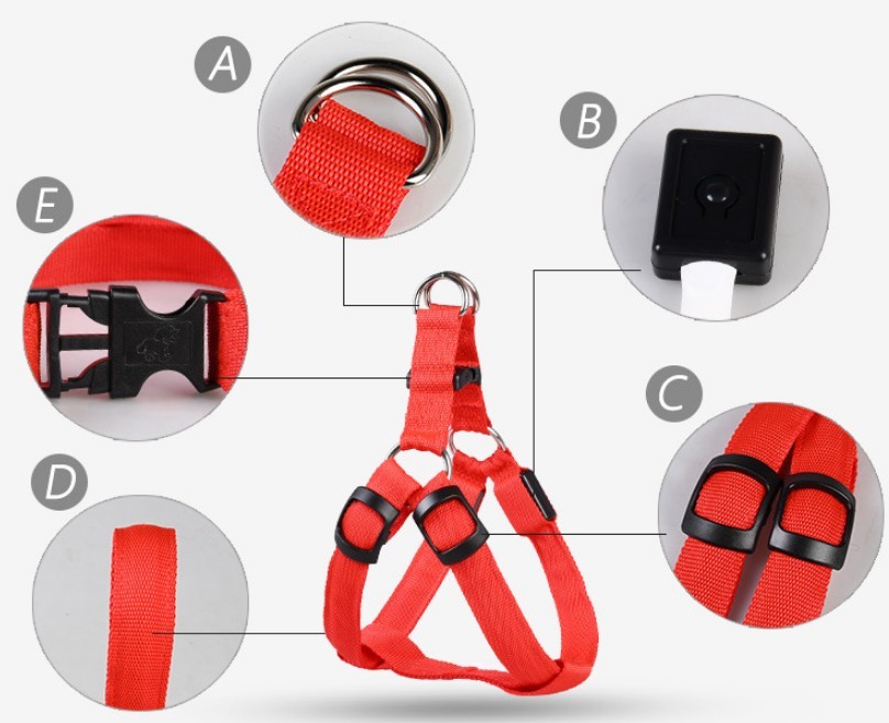 Groom Glory LED Light-Up Dog Harness