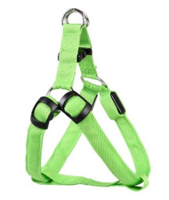Groom Glory LED Light-Up Dog Harness