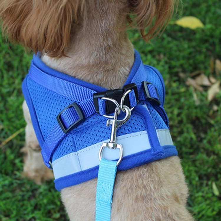 Groom Glory Reflective Dog Harness Vest with Leash – Breathable & Adjustable
