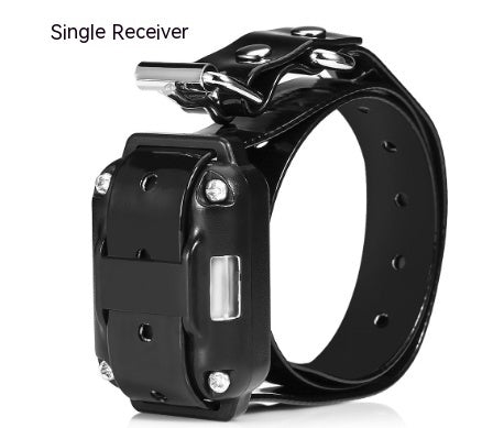 Groom Glory Remote Control Dog Training Collar