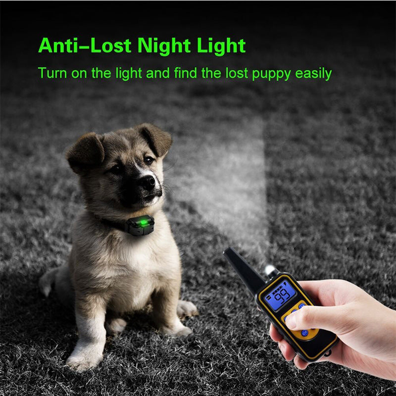 Groom Glory Remote Control Dog Training Collar