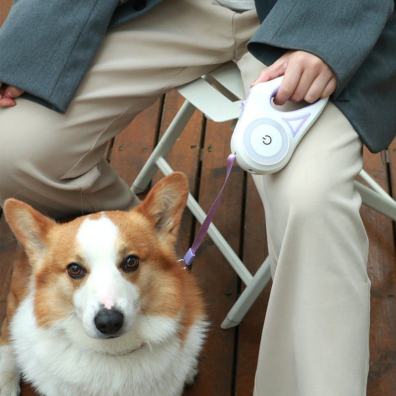 Groom Glory Retractable Dog Leash Collar - Smooth Telescopic