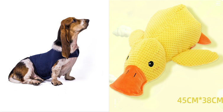 Groom Glory Teeth-Cleaning Chew Toy for Dogs