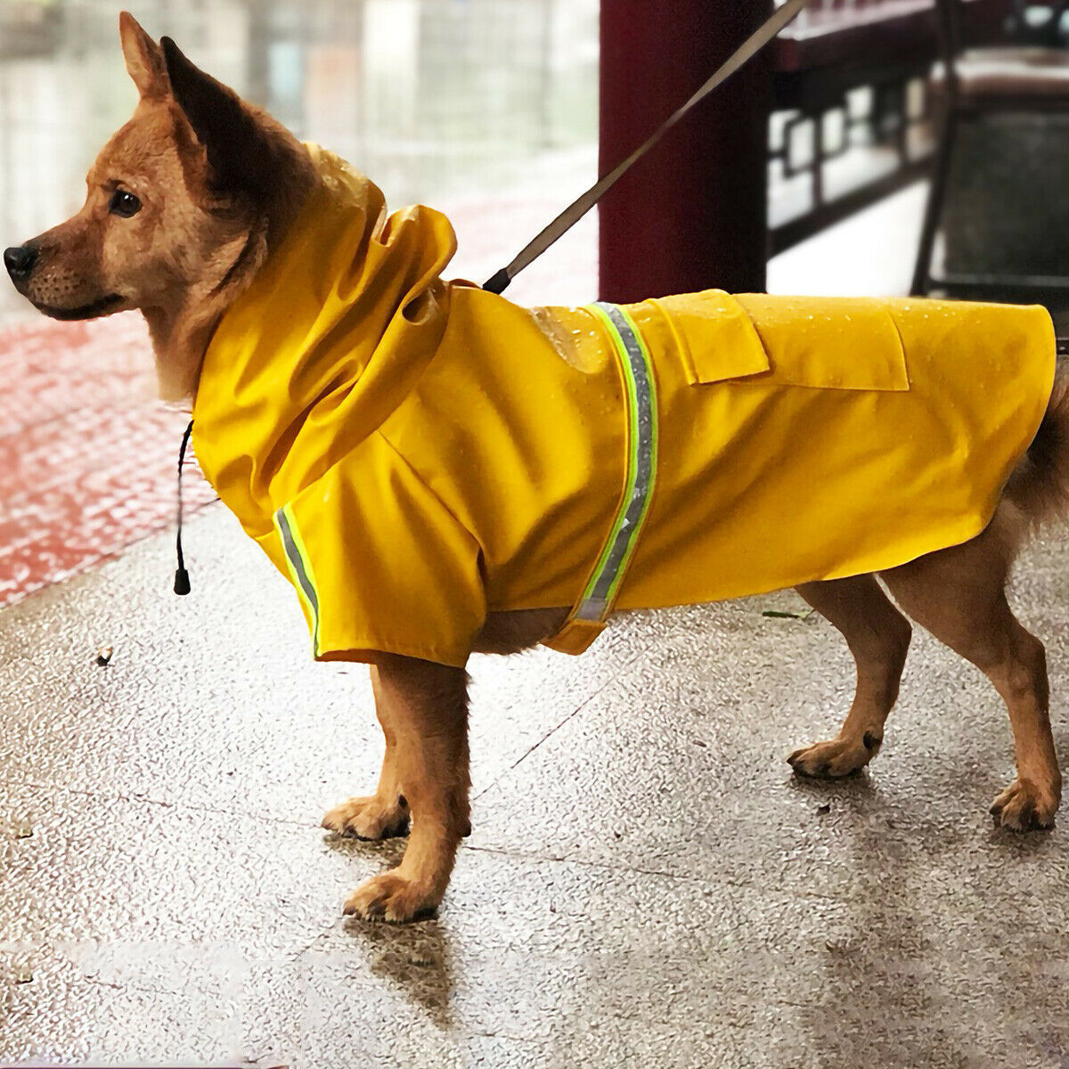 Groom Glory Waterproof Dog Raincoat with Reflective Stripe and Hood