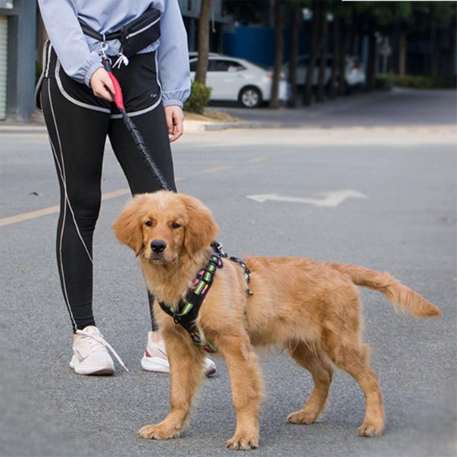 hands-free-dog-leash