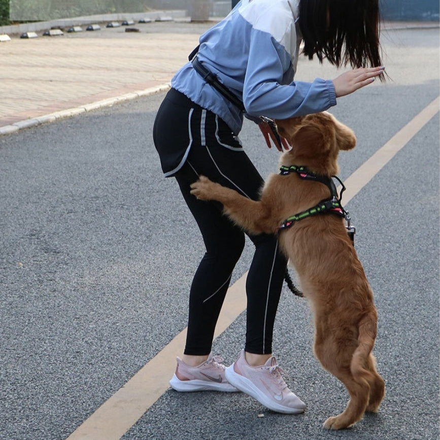 hands-free-dog-leash