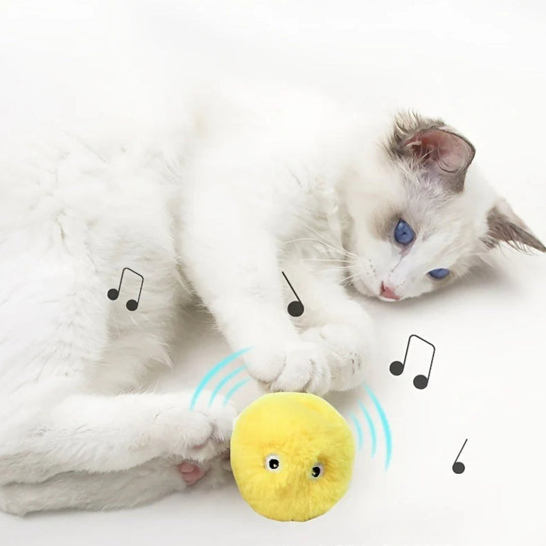 Interactive Cat Toy Ball – Catnip Sound Ball for Playful Cats