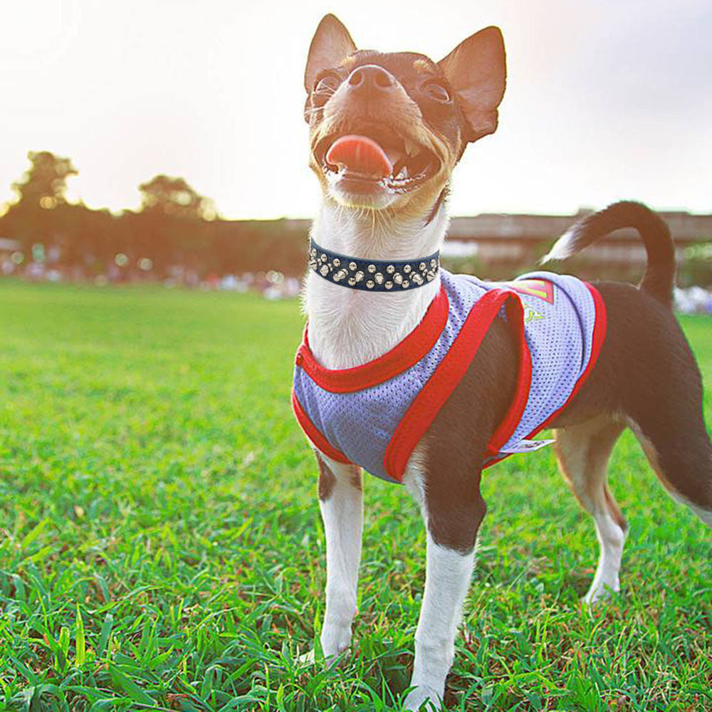 Rivet Pet Collar – Adjustable PU Leather Dog Collar