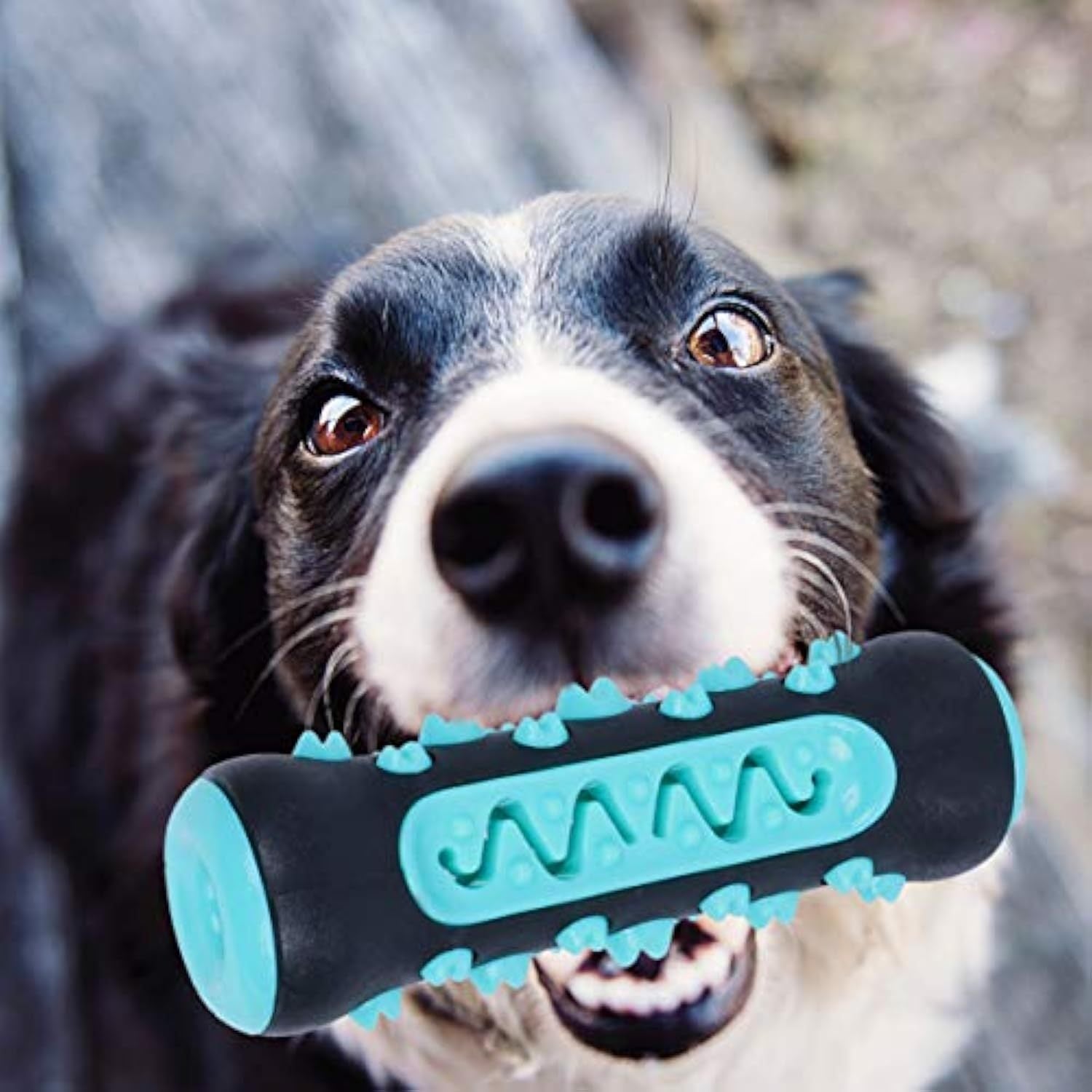 Dog Toothbrush Chew Toy – Durable Rubber Dental Stick for Puppies