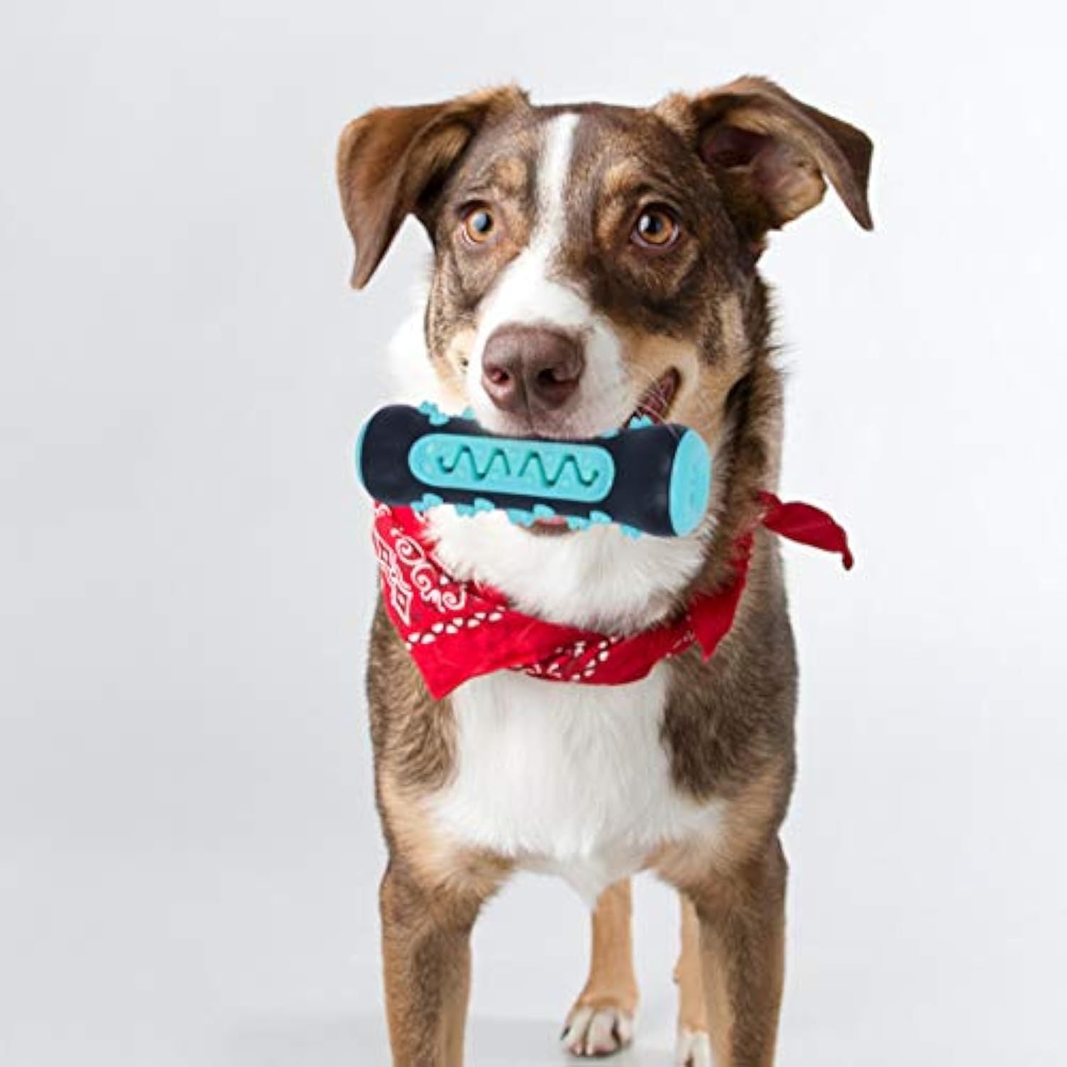 Dog Toothbrush Chew Toy – Durable Rubber Dental Stick for Puppies