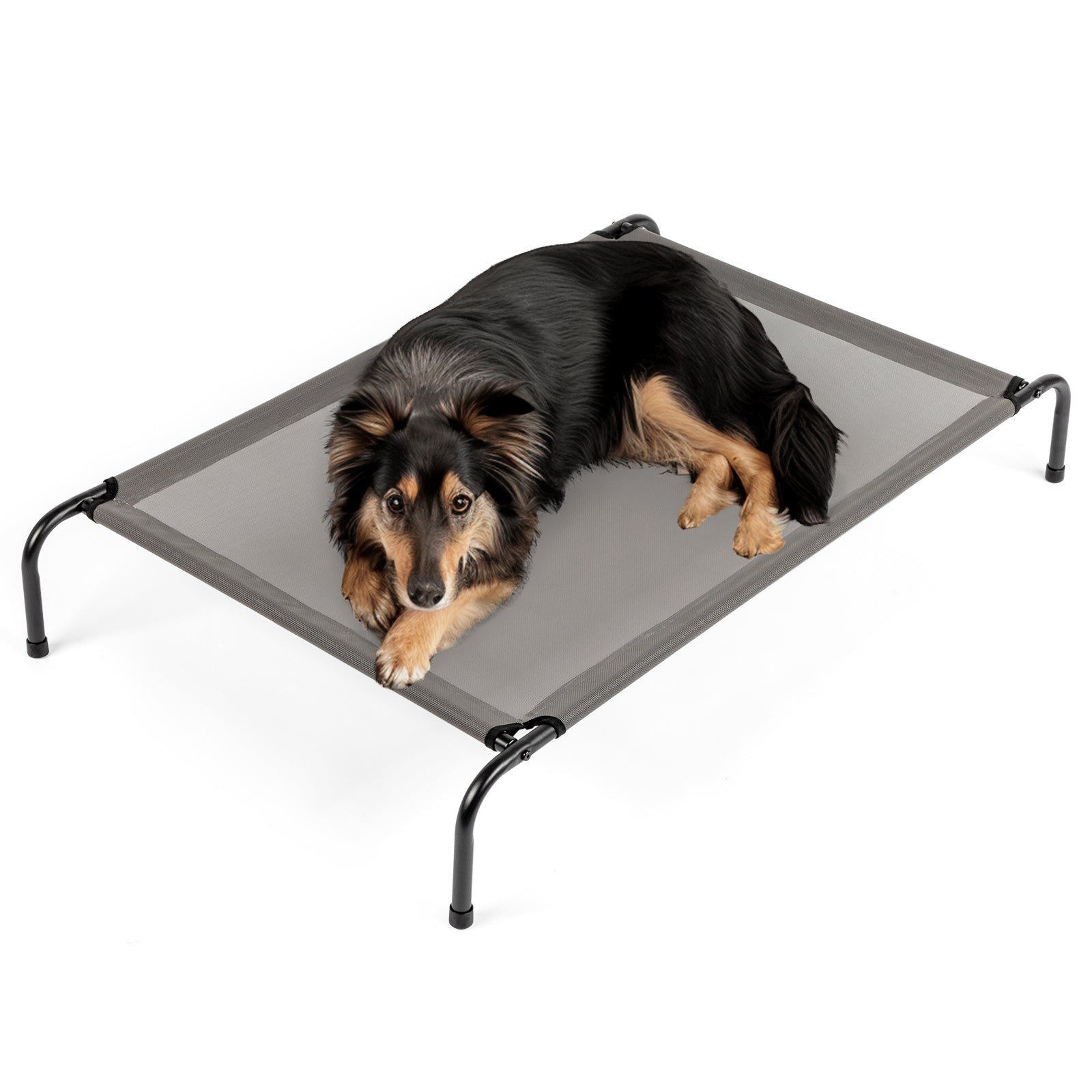 Elevated Dog Bed for Large Dogs – Breathable, Durable & Outdoor-Ready