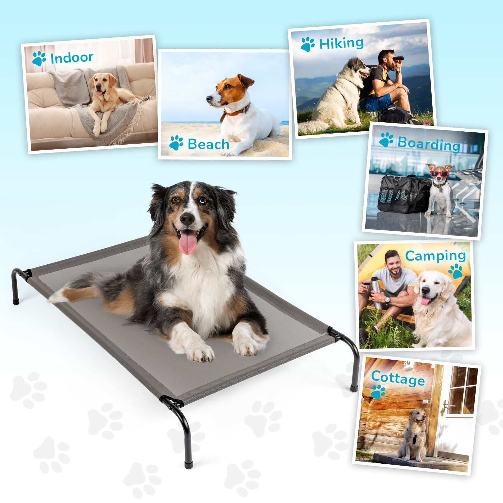 Elevated Dog Bed for Large Dogs – Breathable, Durable & Outdoor-Ready