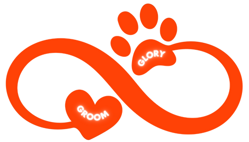 Groom Glory