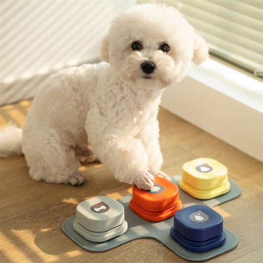 Groom Glory4-Color Dog Talking Button – Recordable Communication Toy for Pets