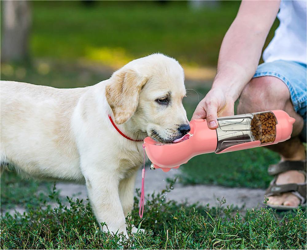 Groom Glory 3-in-1 Portable Dog Water Bottle