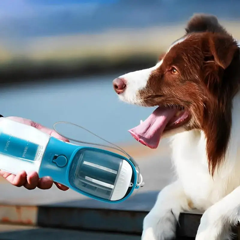 Groom Glory 3-in-1 Portable Pet Water Bottle - Food & Waste Bag Storage for Dogs