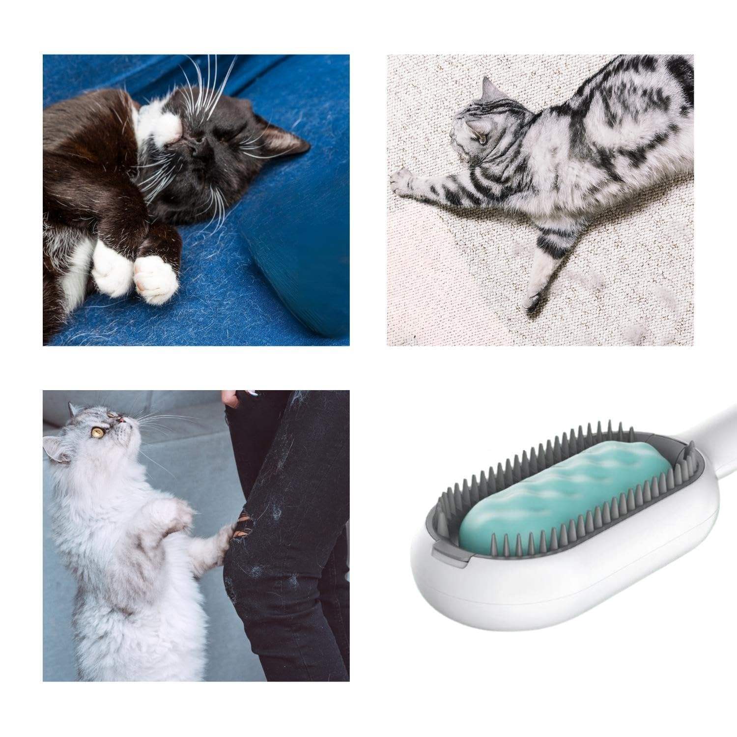 Groom Glory 4-in-1 Cat Hair Brush with Water Tank – Grooming & Cleaning Comb