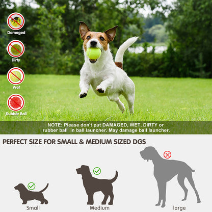 Groom Glory Automatic Dog Ball Launcher – Interactive Tennis Ball Thrower