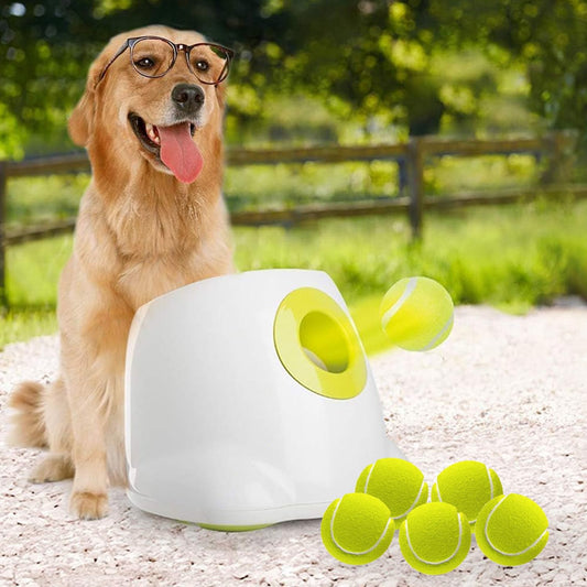 Dog wearing glasses with a ball launcher and tennis balls outdoors