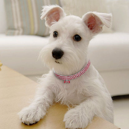 Groom Glory Bling Rhinestone Dog Collar – Crystal Puppy Collar