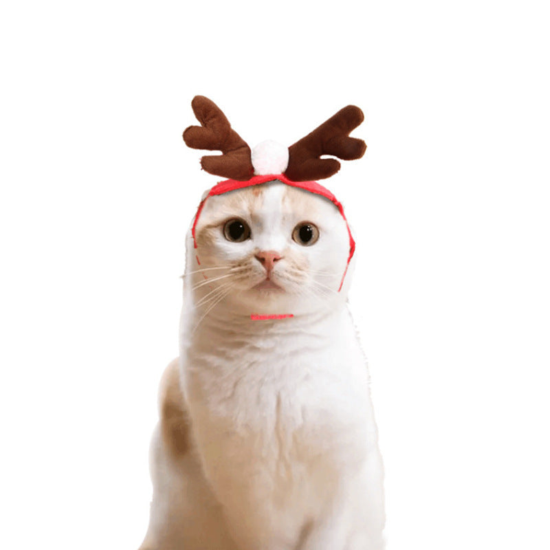 Groom Glory  Cute Christmas Cloak for Dogs & Cats – Holiday or Halloween Pet Costume