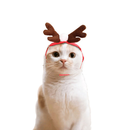 Groom Glory  Cute Christmas Cloak for Dogs & Cats – Holiday or Halloween Pet Costume