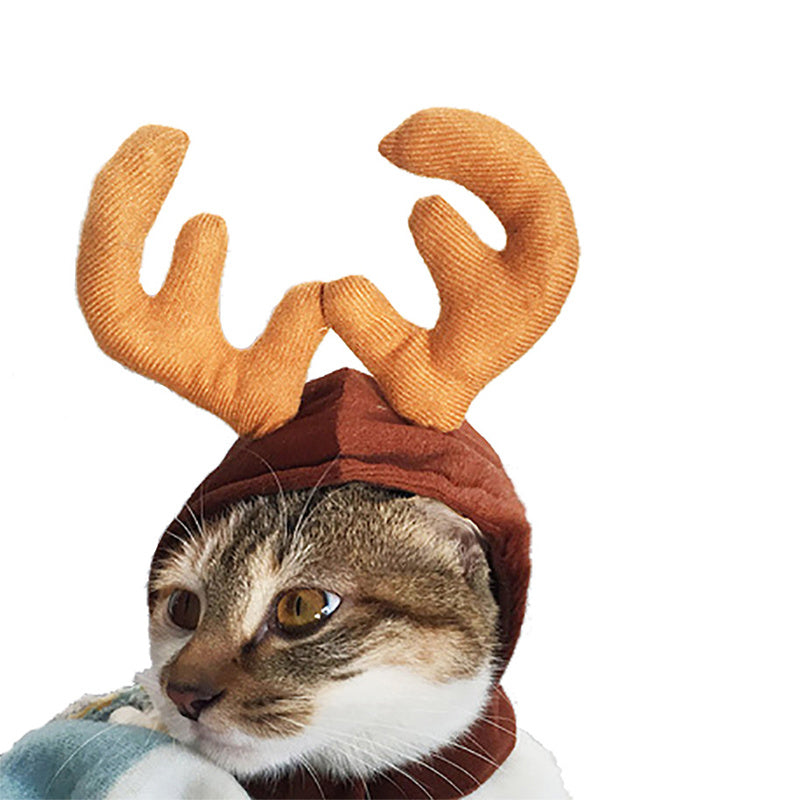 Groom Glory  Cute Christmas Cloak for Dogs & Cats – Holiday or Halloween Pet Costume