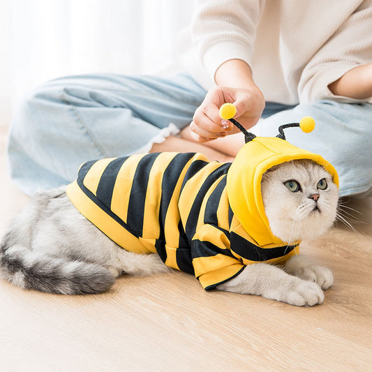 Groom Glory Cute Yellow Sweater for Puppies