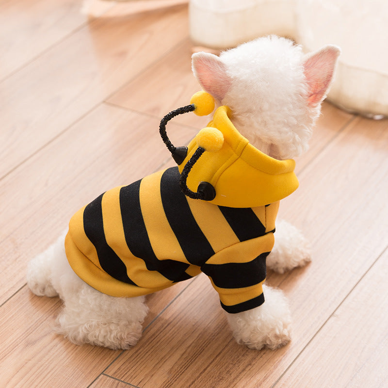 Groom Glory Cute Yellow Sweater for Puppies