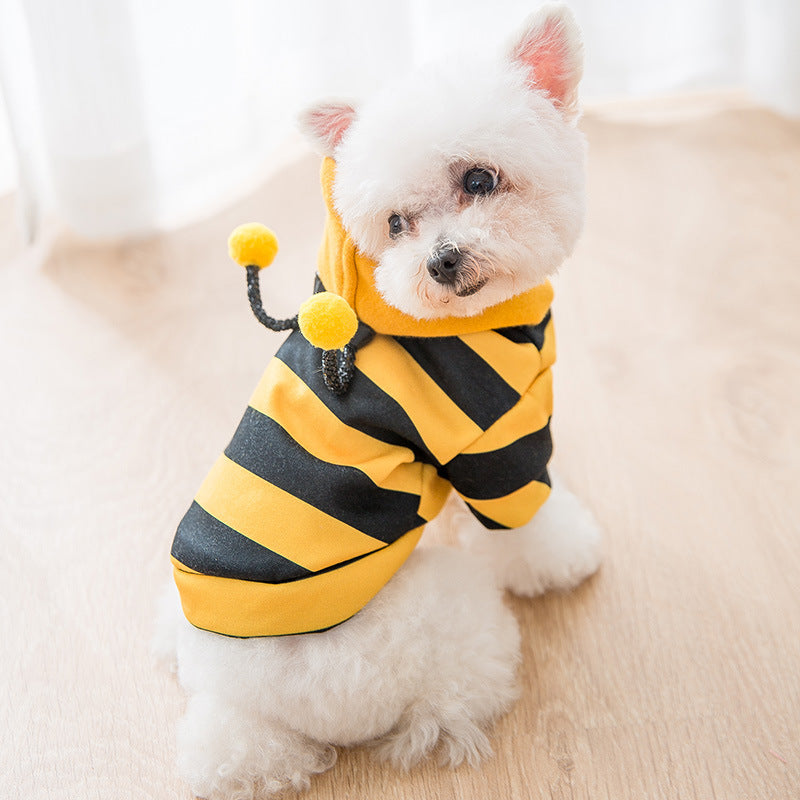 Groom Glory Cute Yellow Sweater for Puppies