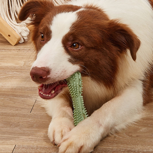 Groom Glory Dog Chew Toy for Teeth Cleaning - Safe TPR Dental Chew