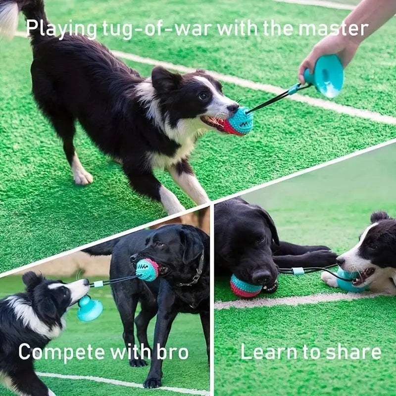 Groom Glory Durable Dog Tug Toy – Interactive Teething & Chewing Toy