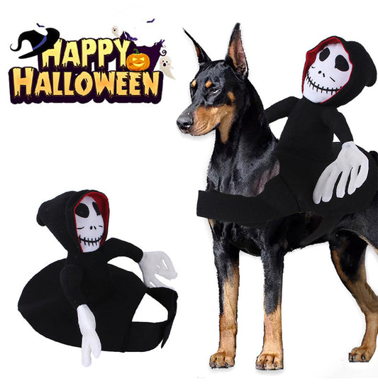 Groom Glory  Funny Halloween Pet Costume – Spider, Pumpkin, or Goblin Rider Cosplay Outfit for Dogs & Cats