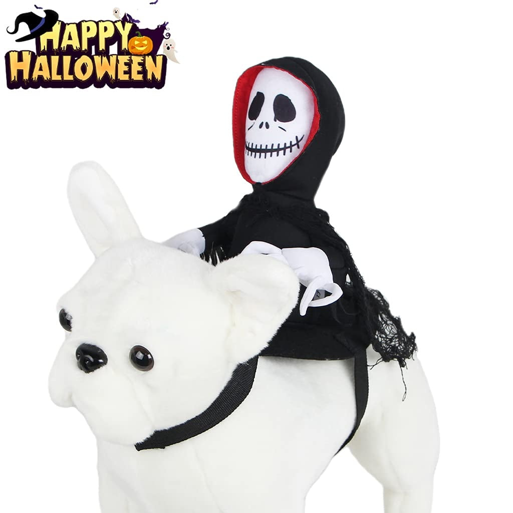 Groom Glory  Funny Halloween Pet Costume – Spider, Pumpkin, or Goblin Rider Cosplay Outfit for Dogs & Cats