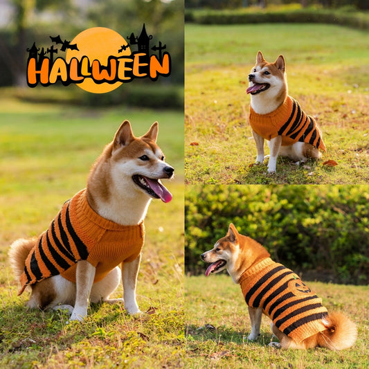 Groom Glory Halloween Dog Sweaters – Cozy Pet Costume for Small Dogs | Fall & Winter Cosplay Outfit
